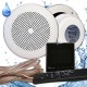 Влагостойкая акустическая система Steam & Water SW 2 Black STANDARTk - музыка для бани, сауны, хамама, катера, яхты, влажных помещений